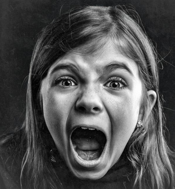 Find dine skærmvægge hos JustMore